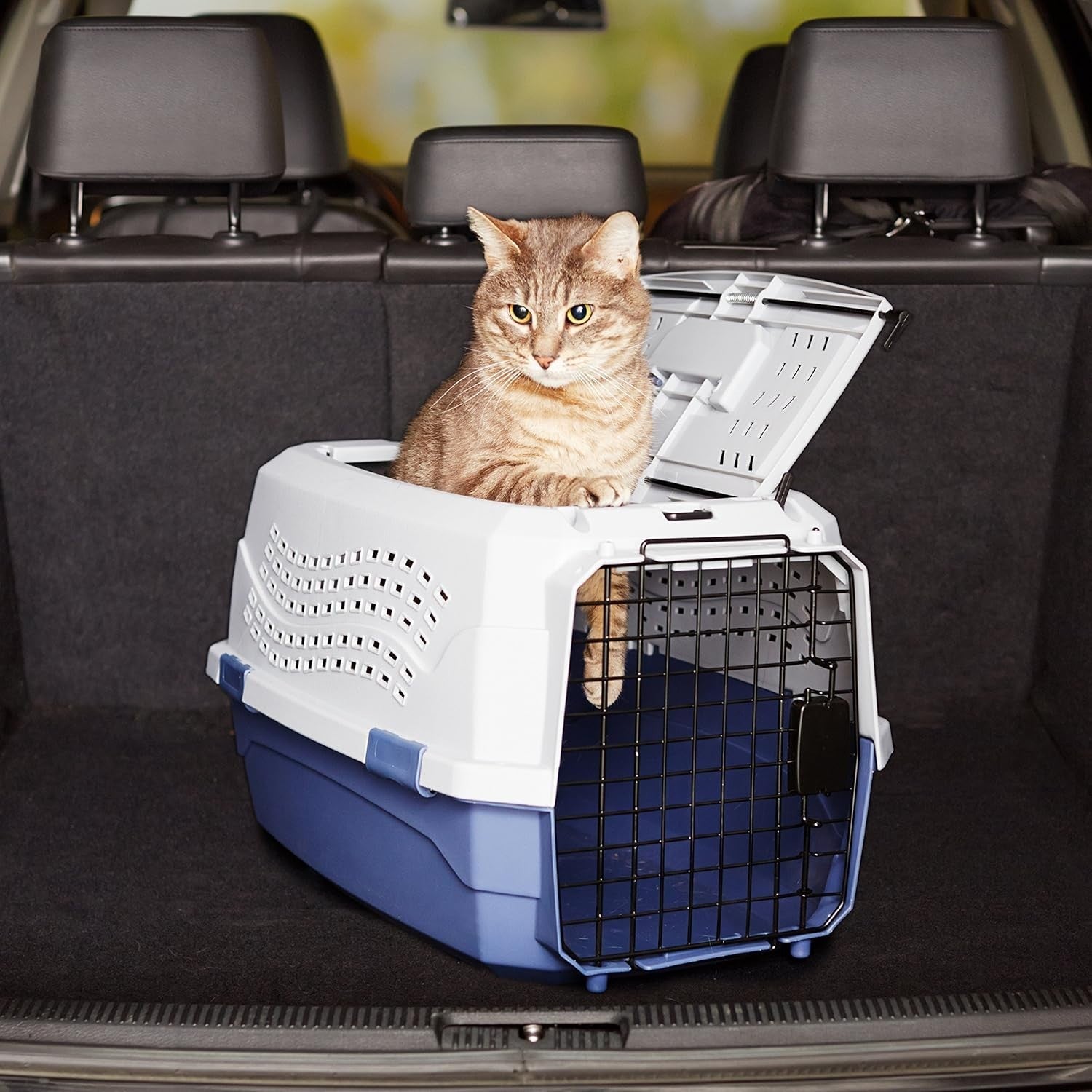 Durable Hard-Sided Pet Carrier with Two Doors & Top-Load Design 58x38x33cm