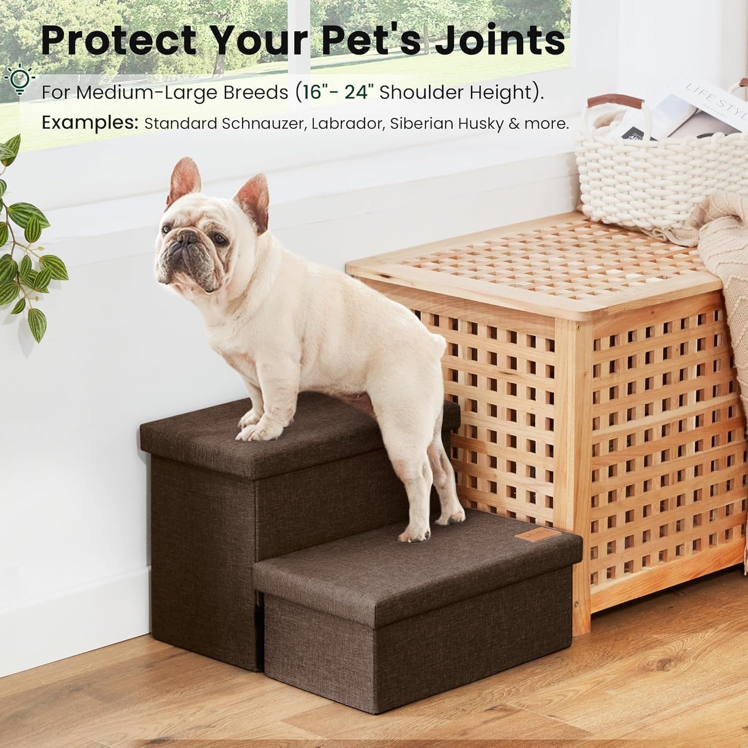 Dog Stairs with Storage 2 Step Foldable Pet Steps Ramp Coffee 13"