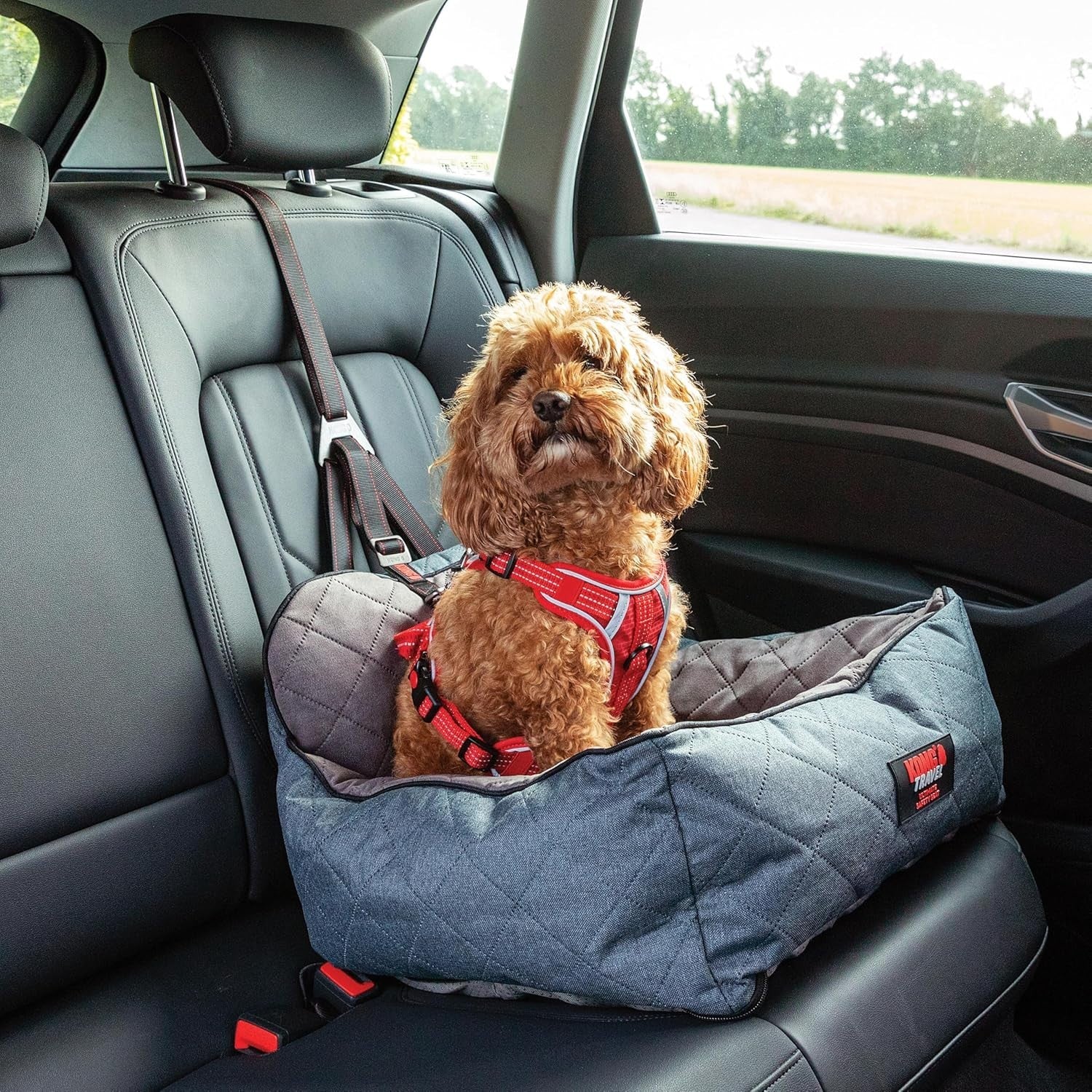 Dog Car Seat Safety Tether Booster Bed ISOFIX Travel Seat 11kg