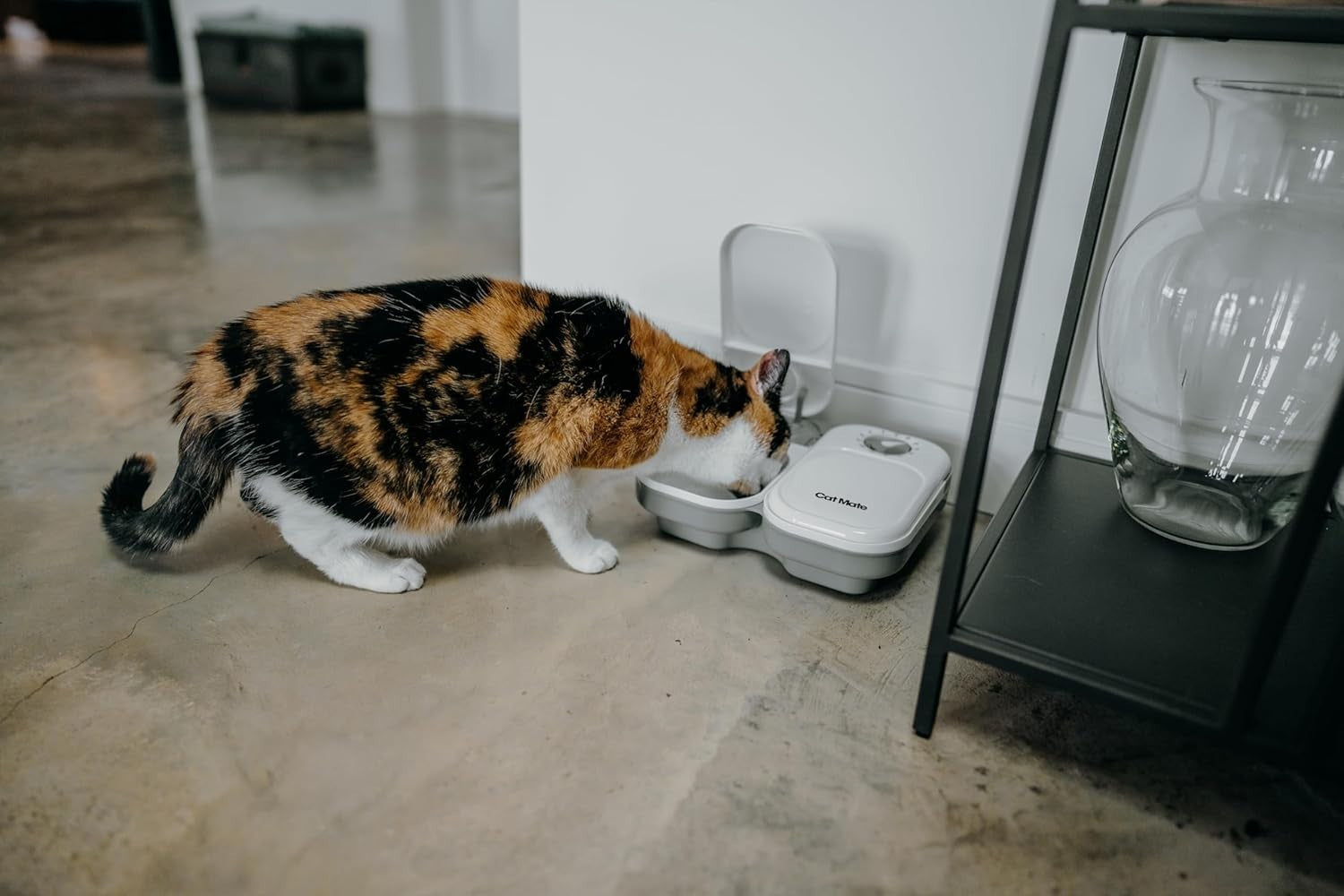 Automatic Pet Feeder Digital Timer 2 Meal Wet Dry Food Dispenser Ice Pack