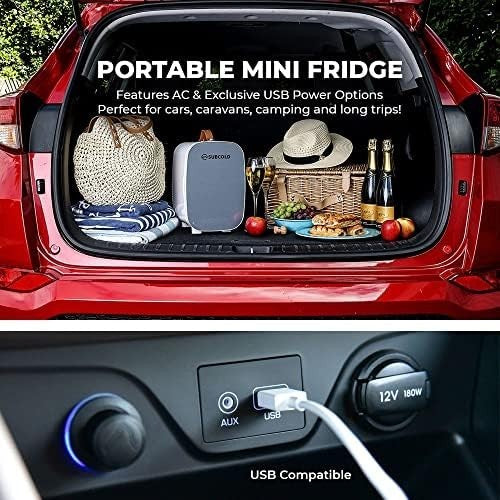 6L Mini Fridge Cooler USB & AC Portable for Bedroom Car Office Grey