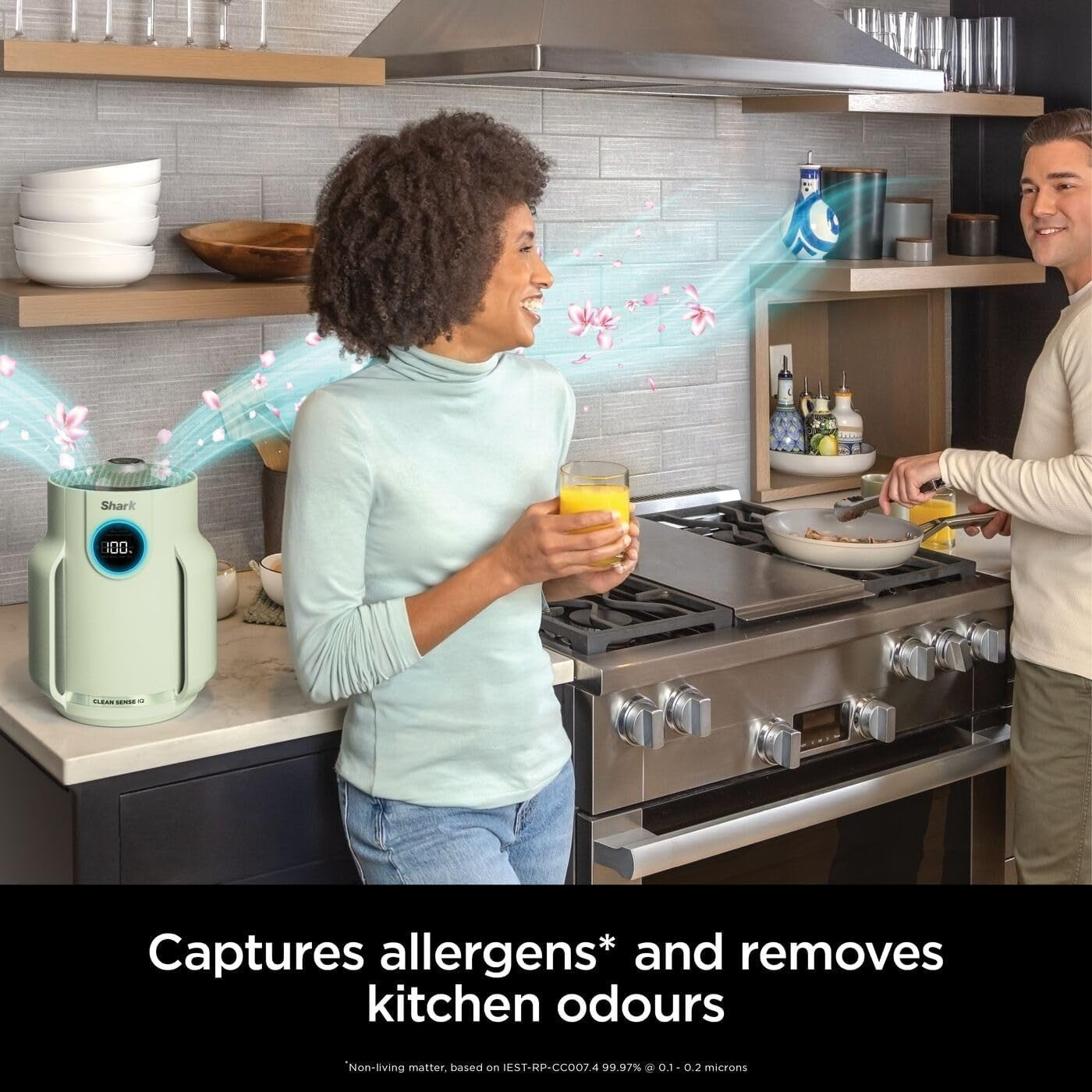 Quiet HEPA Air Purifier 23m² 5-Year Filter Dust Pollen Pet Dander