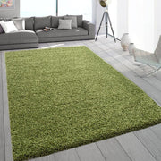 Extra Large Shaggy Rug 160x230cm 5cm Thick Soft High Pile Green Carpet