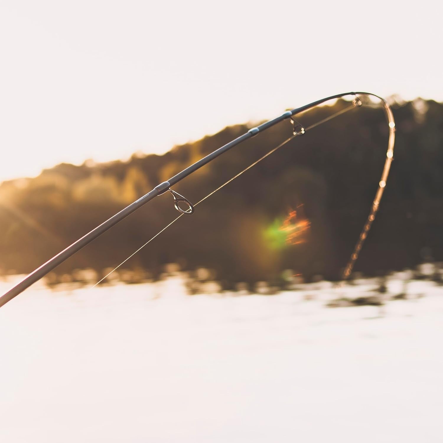 High-Performance Freshwater Predator Spinning Rod – Carbon, Fast Action, 2.13m