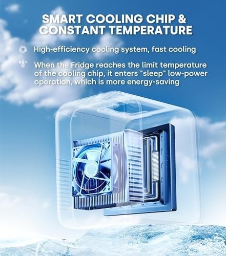4L Mini Fridge Portable Cooler Warmer AC+DC Power for Drinks Skincare