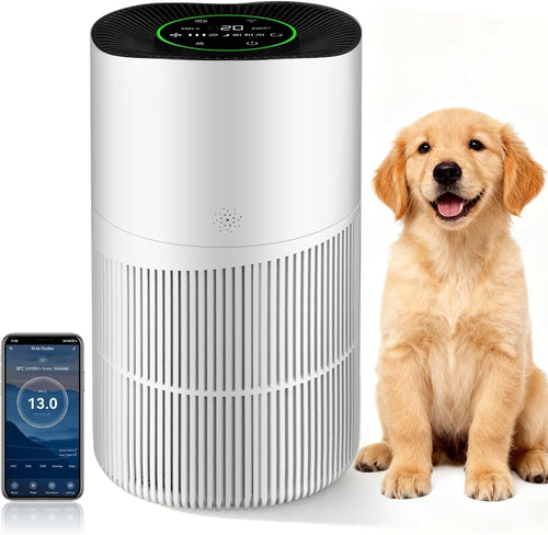 Smart HEPA Air Purifier Large Room 100m² PM2.5 Sensor Alexa Quiet