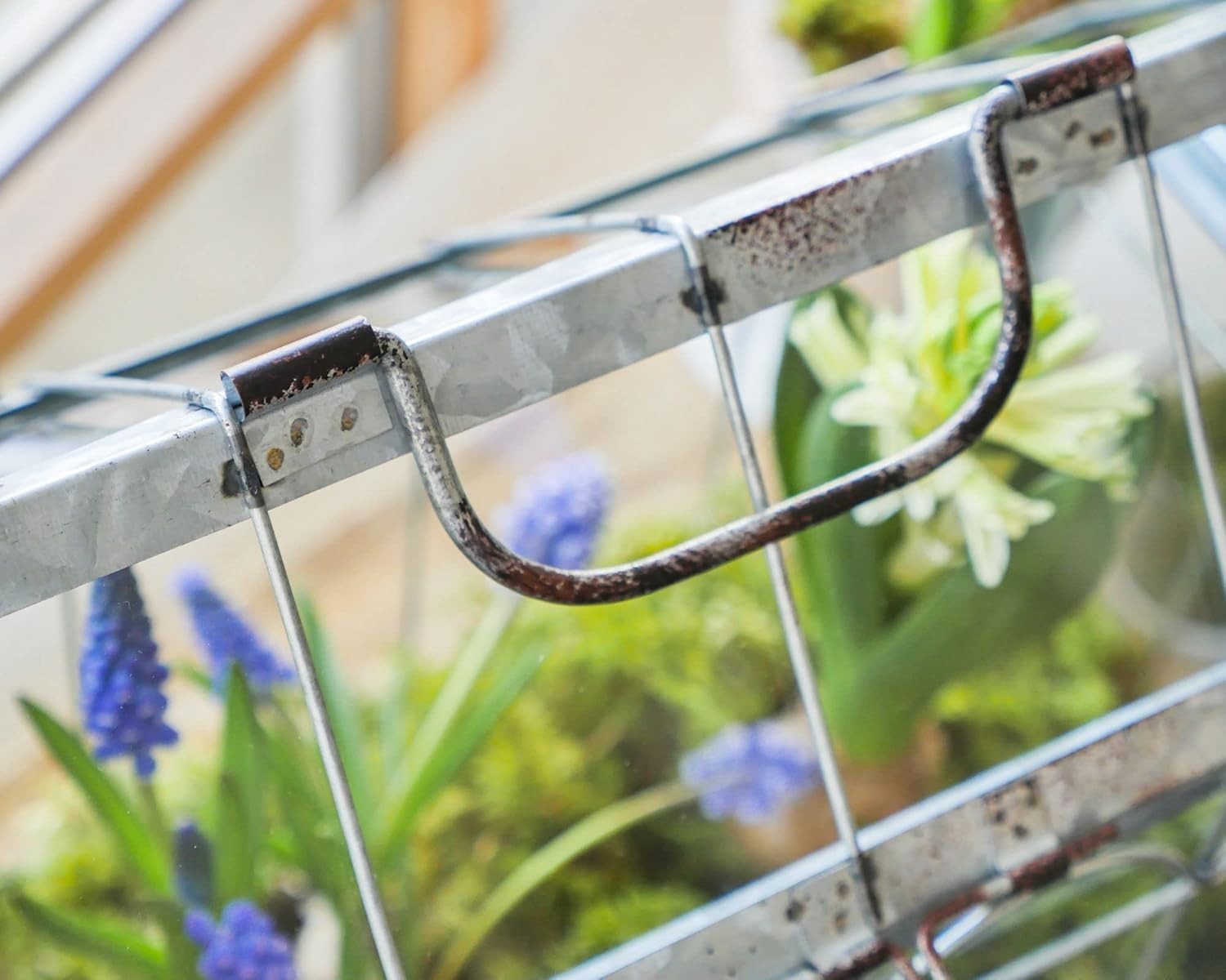 Small Iron & Glass Greenhouse with Lockable Lid and Carry Handle 29x15x26cm