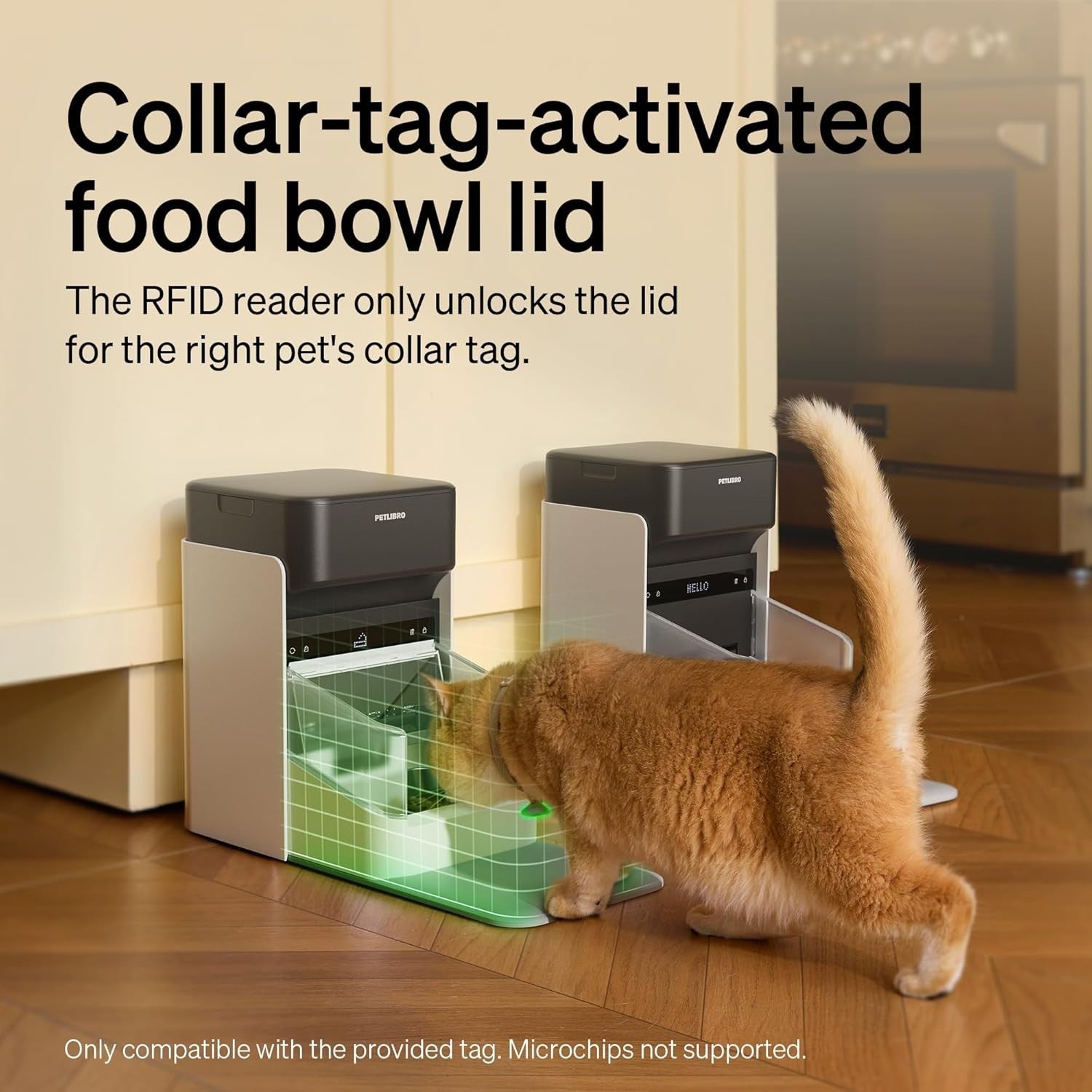 RFID Automatic Cat Feeder WiFi Smart Food Dispenser Diet Tracking 3L
