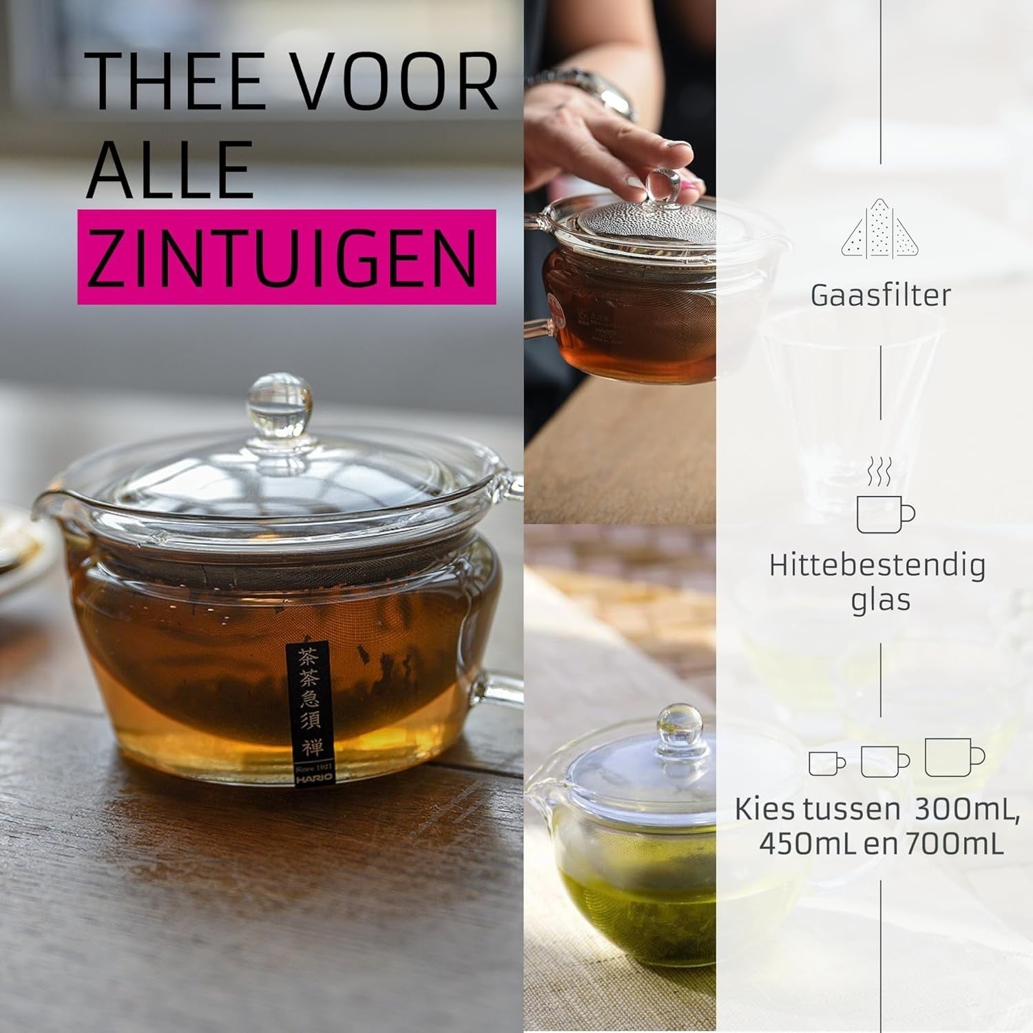 450ml Glass Teapot with Stainless Steel Infuser Loose Leaf Tea Pot