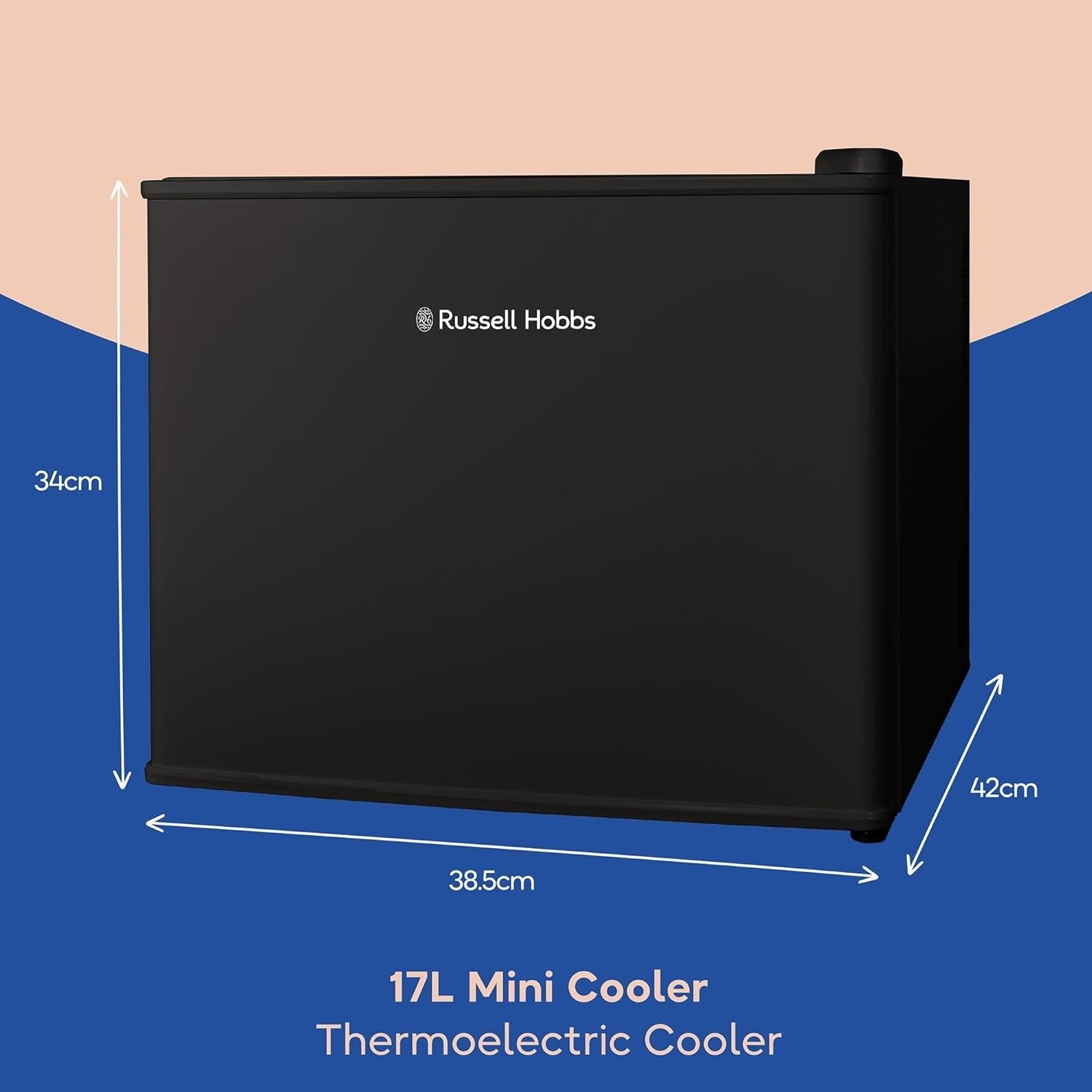 17L Mini Cooler Portable Thermoelectric Compact Fridge Manual Temp Black