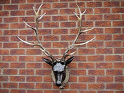 Large Antique Stag Head Wall Art 100cm Resin Mount