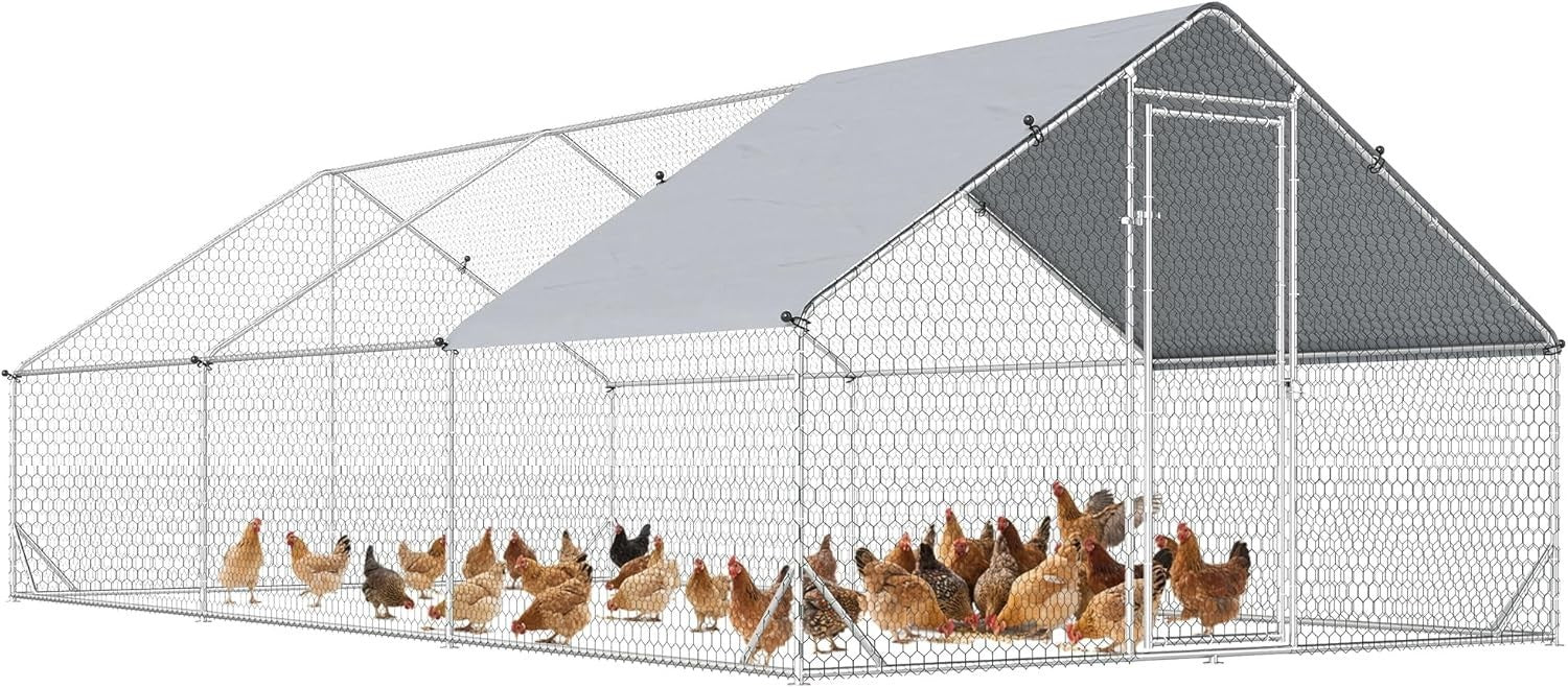 Extra Large Walk In Chicken Run Galvanised Outdoor Enclosure 12–18 Hens