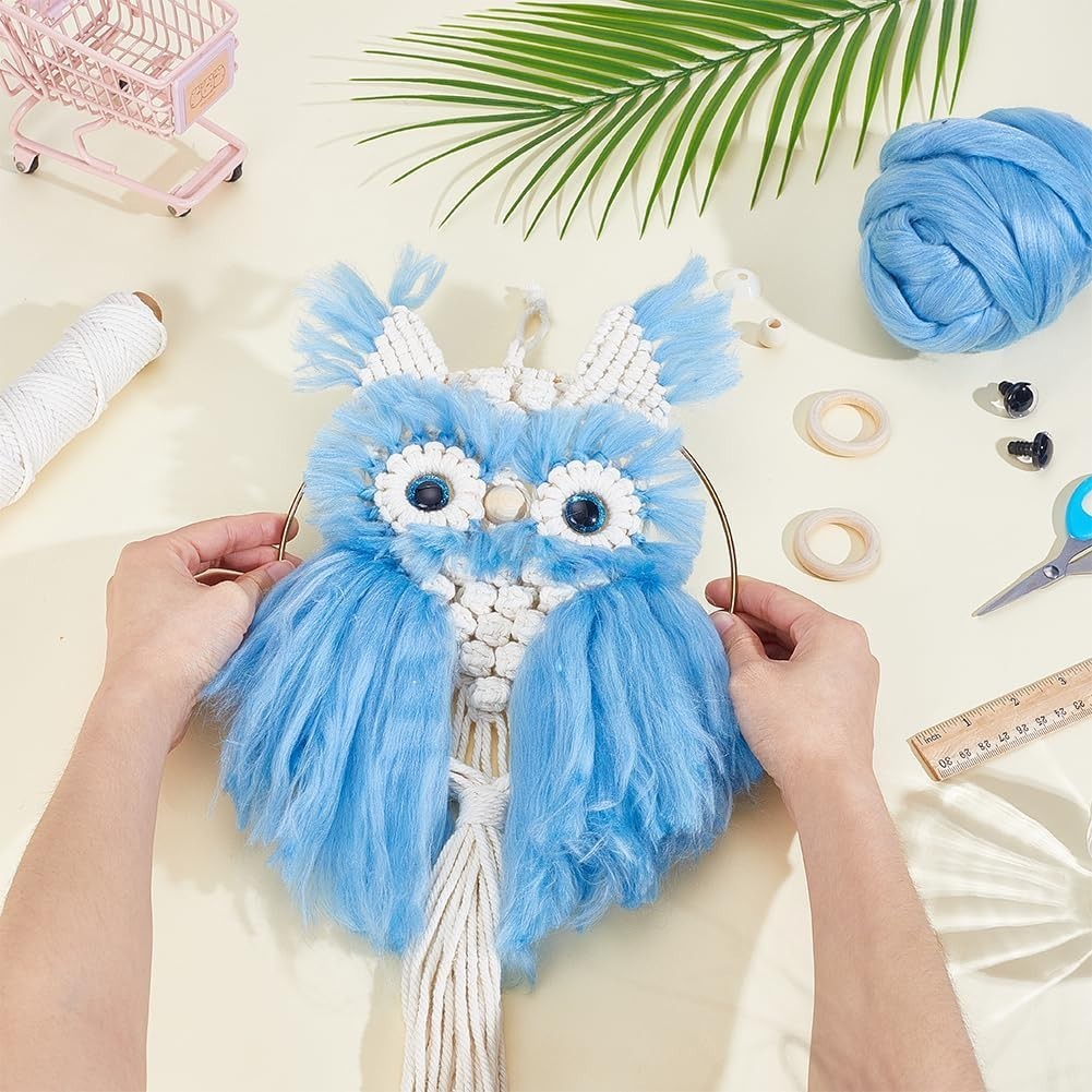 DIY Macrame Owl Wall Hanging Kit with Felting Wool Boho Decor