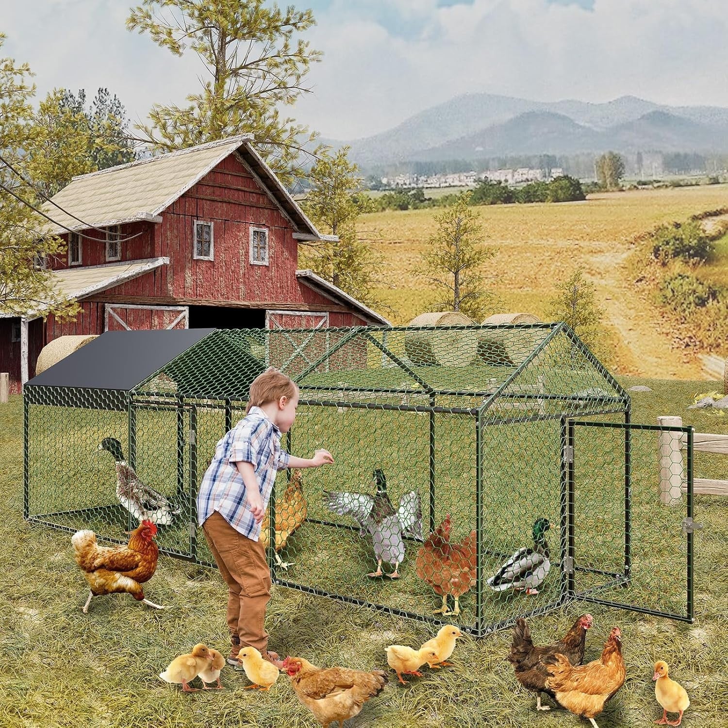 3m Walk In Chicken Run Galvanised Steel Coop 8-15 Hens