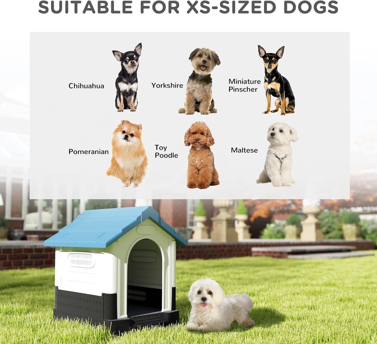 Mini Outdoor Dog House Weatherproof Kennel – Ventilated & Raised Base Blue