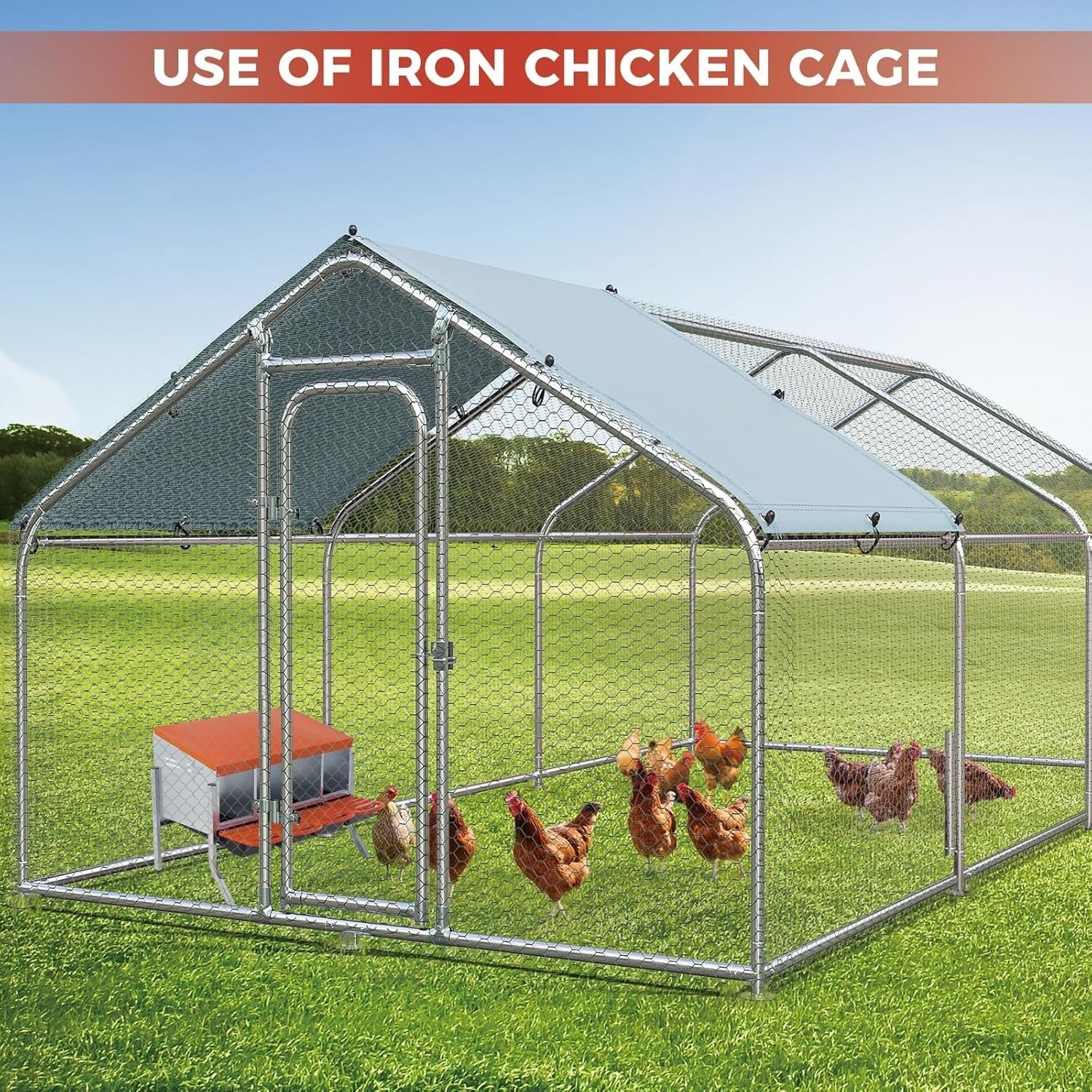 4 Chamber Steel Chicken Nest Box with Stand Pull Out Egg Tray