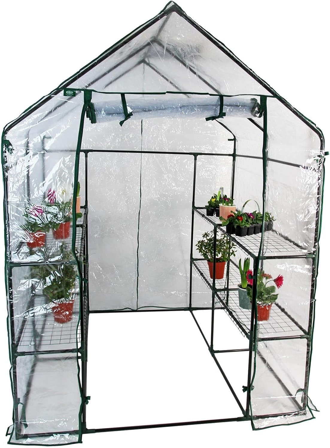 8-Shelf Walk-In Greenhouse Clear PVC Cover 143x143x195cm Weatherproof