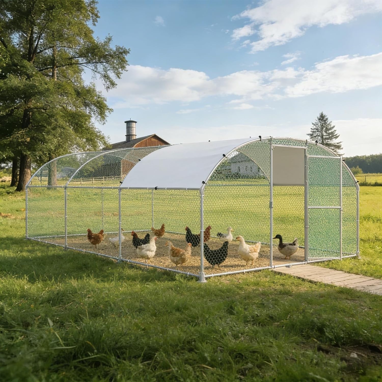 Extra Large Walk In Chicken Run 3x6m Galvanised Metal Enclosure Roof