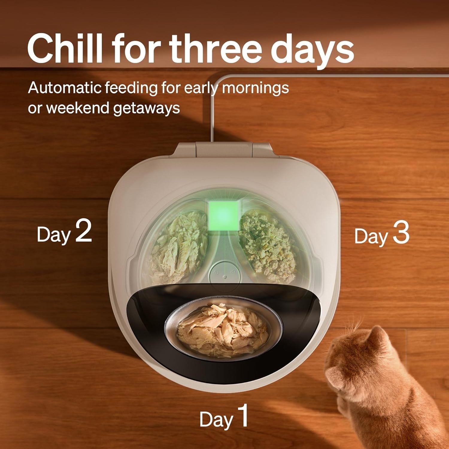Refrigerated Wet Cat Feeder WiFi App Control 3 Meal Food Dispenser