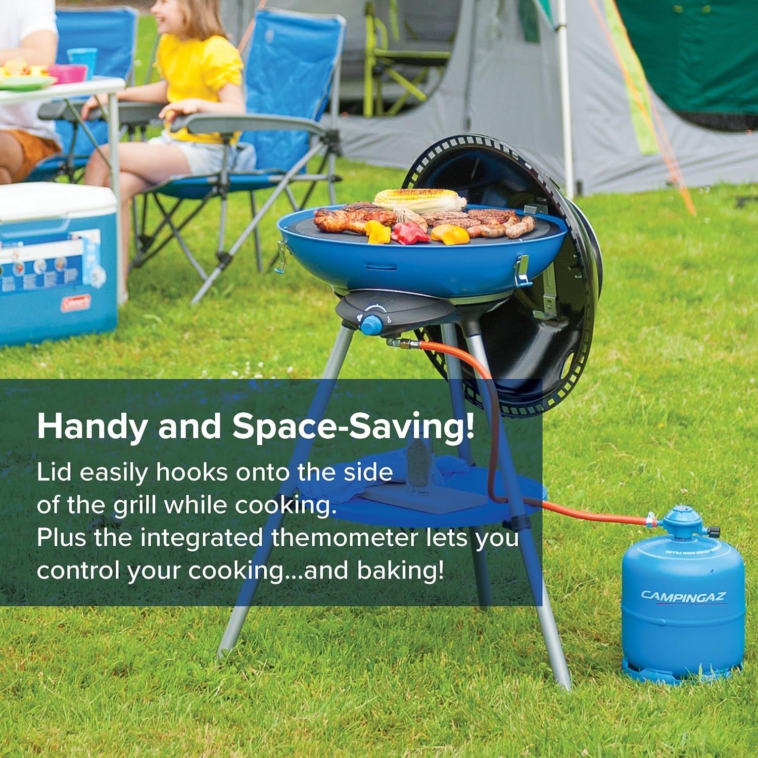 Portable Gas Party Grill 600 Outdoor Camping BBQ Stove Cooker Multi-Use Blue