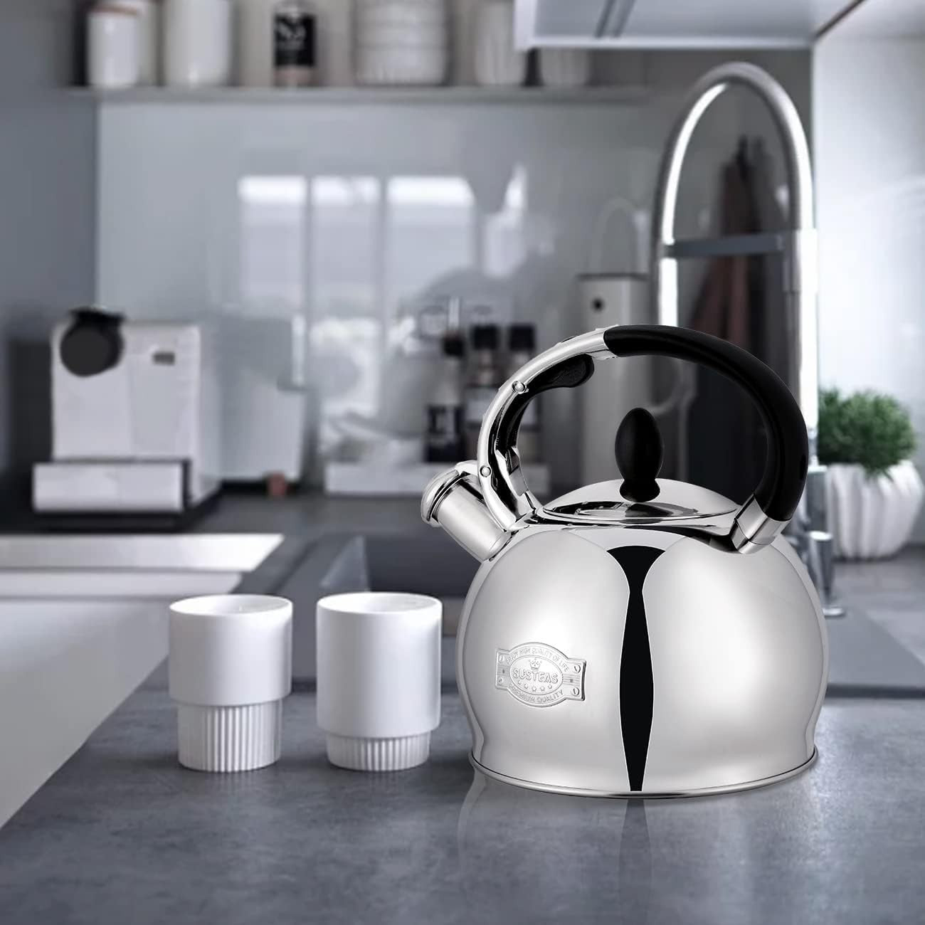 3L Stainless Steel Whistling Tea Kettle Stove Top Teapot Silver