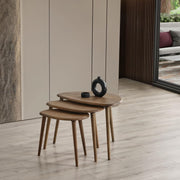 3 Pcs Nesting Coffee Table Set Mid-Century Modern Wood Walnut Oval Side End