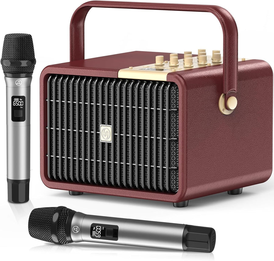 320W Peak Power Karaoke Machine Bluetooth Speaker 2 Wireless Mics