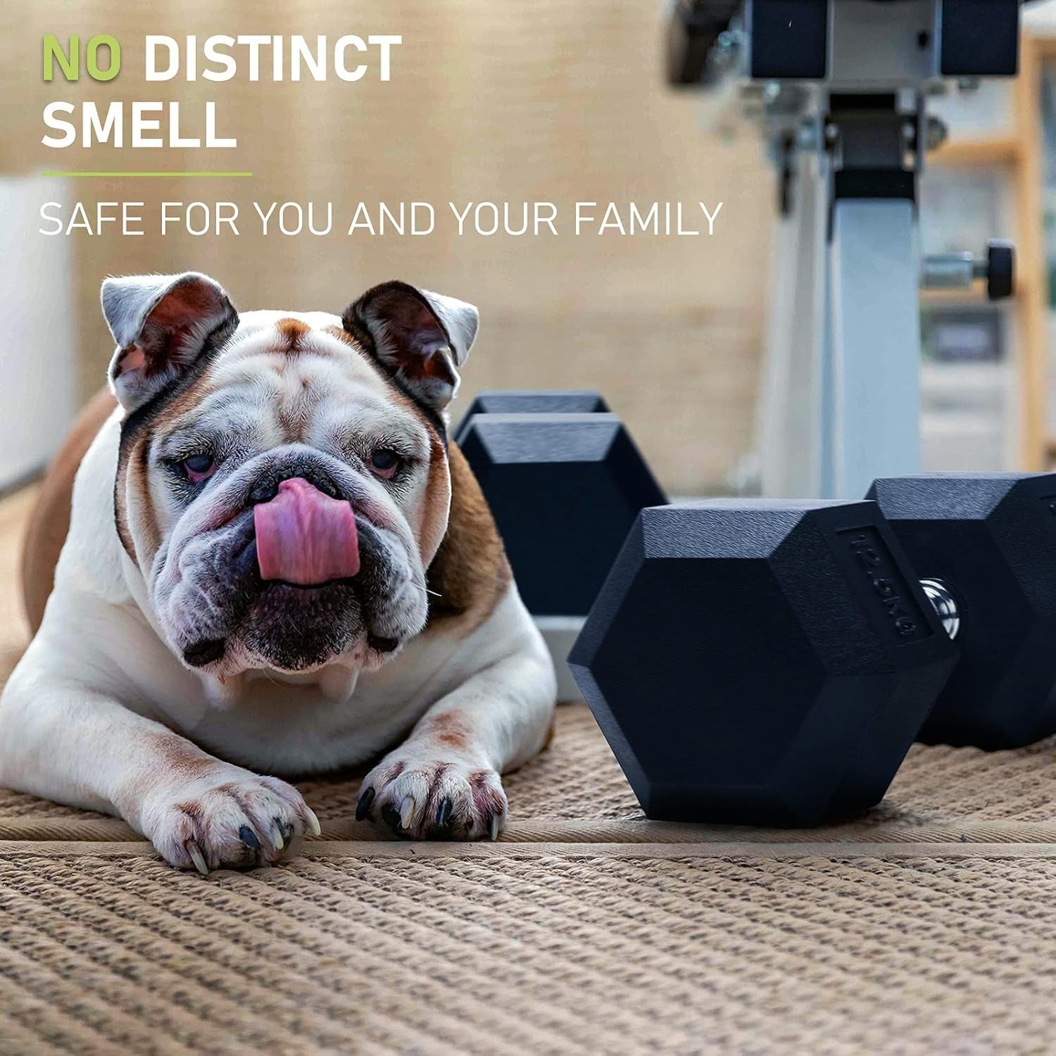Odourless Hex Dumbbells Rubber Coated Anti Roll 2.5–30kg Gym Weights