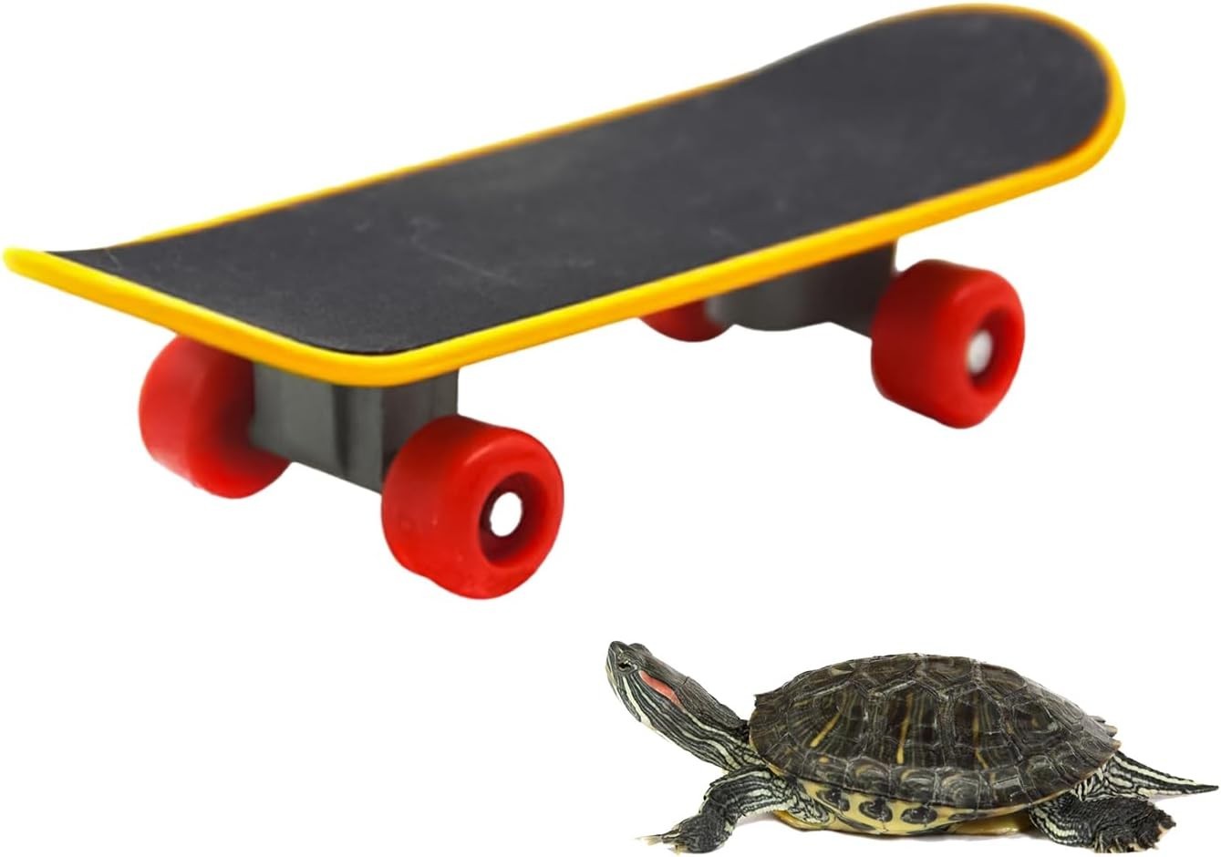 Mini Turtle Training Skateboard Toy Pet Reptile Exercise Board Fun Tiny Skater