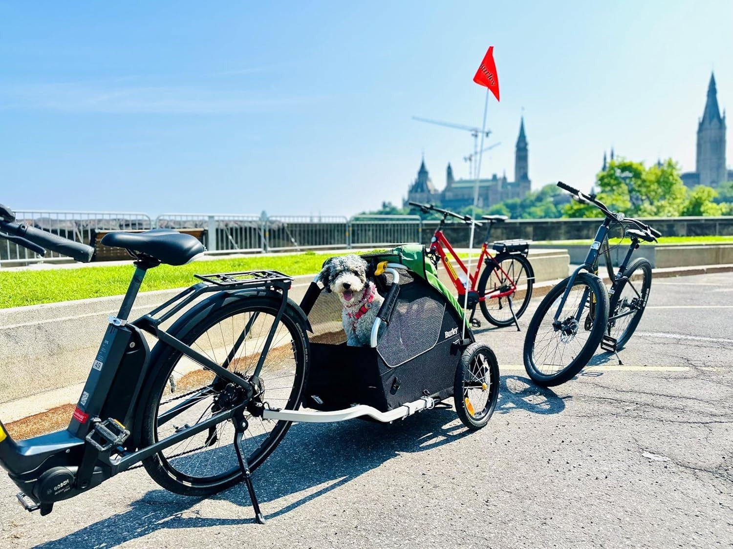 Lightweight Pet Bike Trailer with Mesh Windows Removable Floor & Storage Pocket