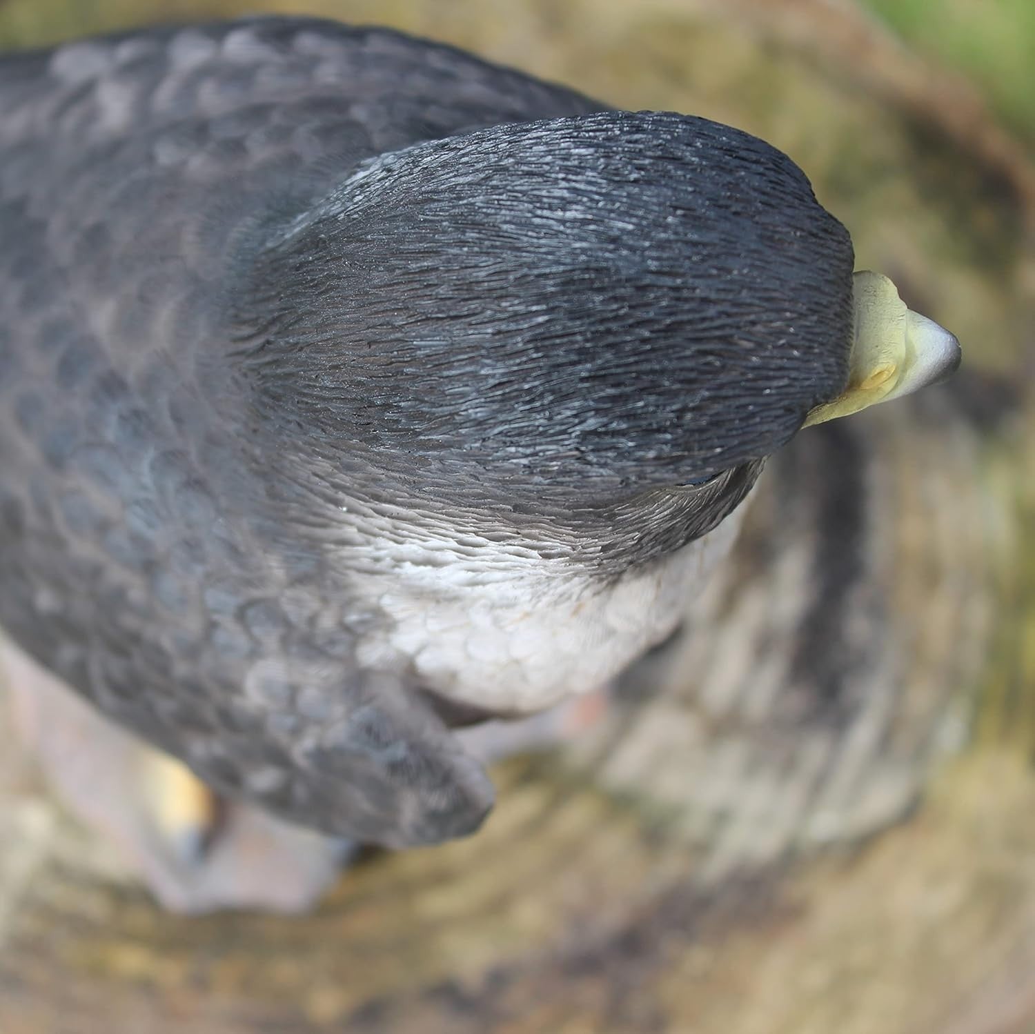 Realistic Peregrine Falcon Resin Ornament • Garden Bird Statue 10.2cm