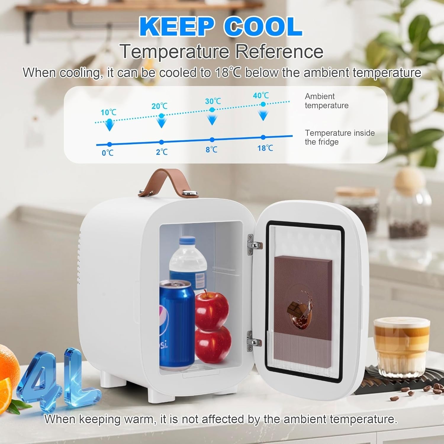 4L Mini Fridge Cooler & Warmer Portable AC 12V Compact White