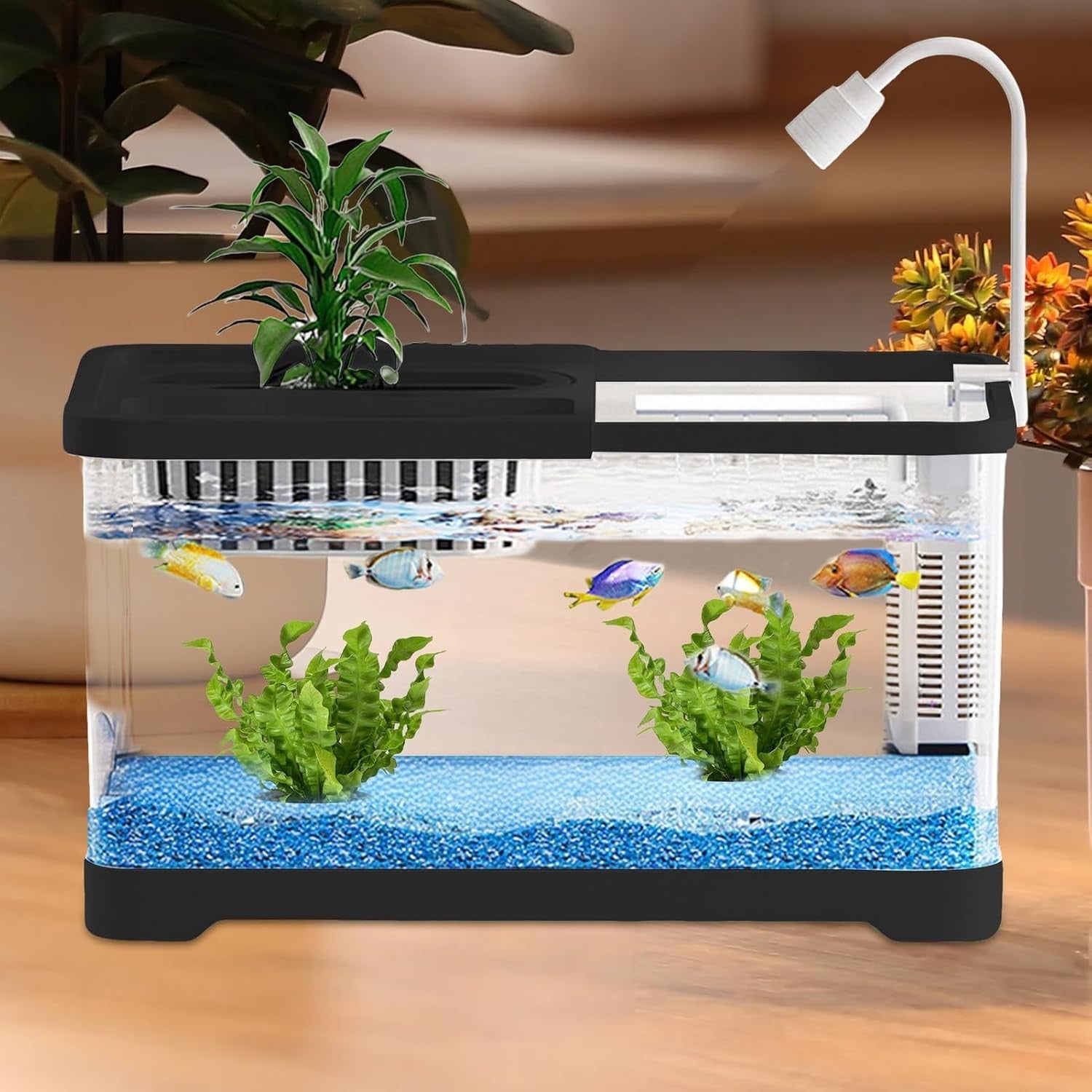 Small Betta Fish Tank with Hydroponic Basket | Desktop Aquarium Kit