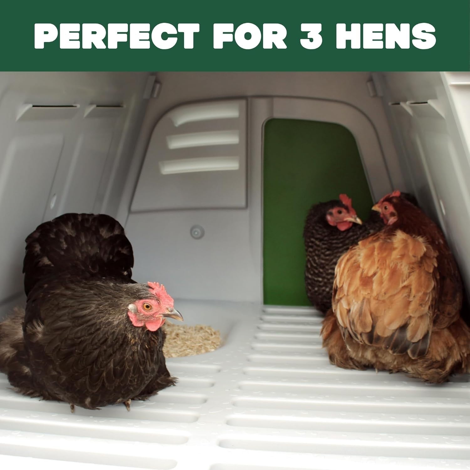 Plastic Chicken Coop House Lockable Easy Clean 3 Hens