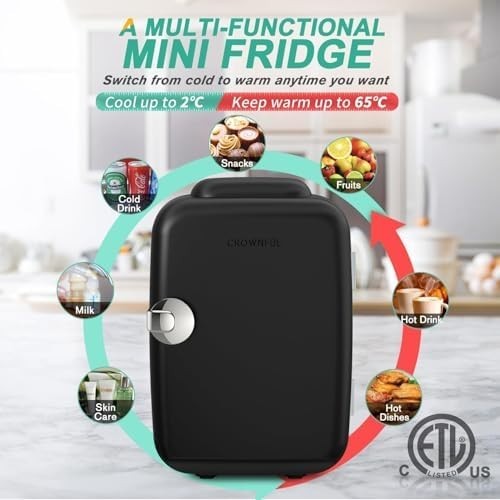 Portable Mini Fridge 4L Cooler & Warmer for Bedroom Office Car