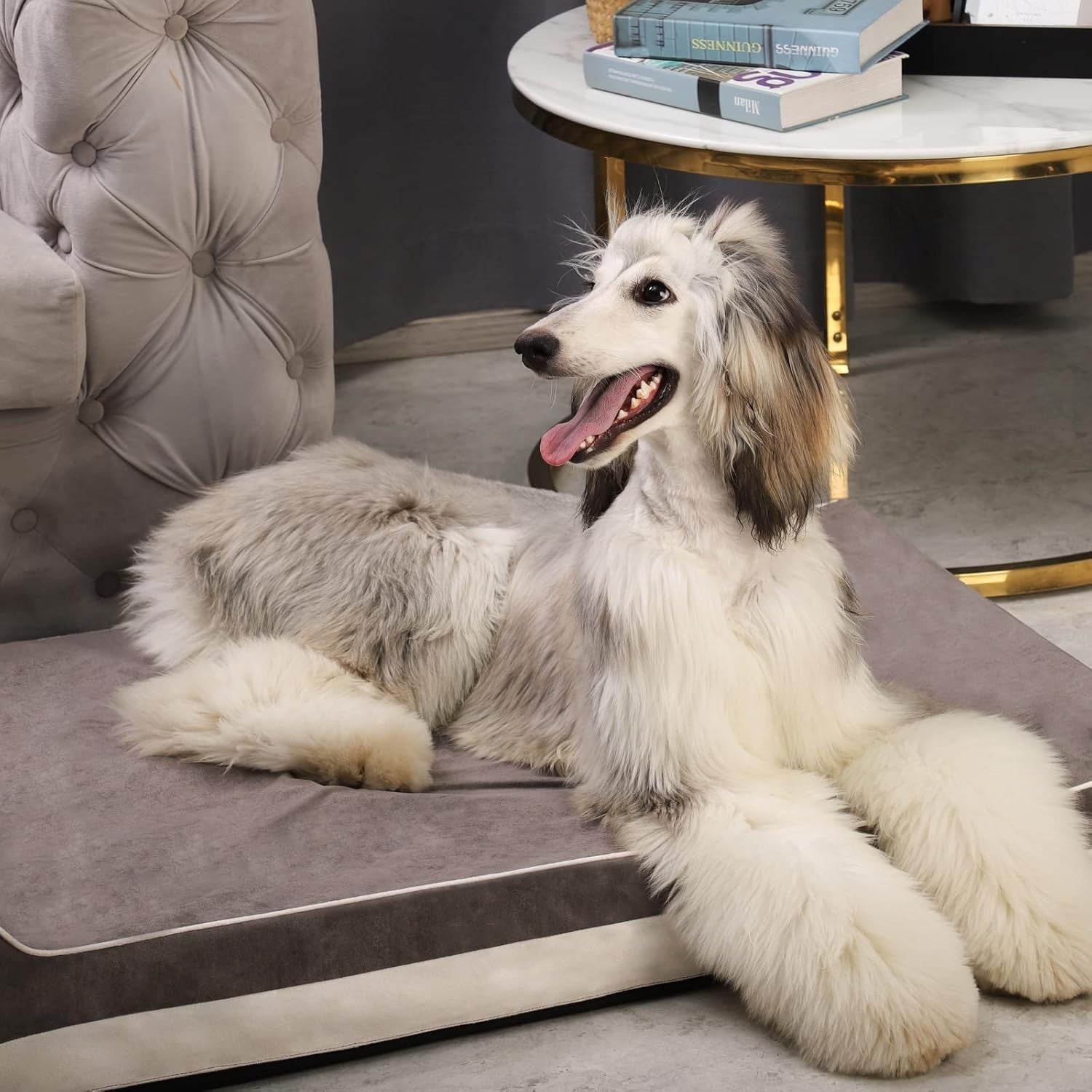 Large Orthopedic Memory Foam Dog Bed 46x28x8in Washable