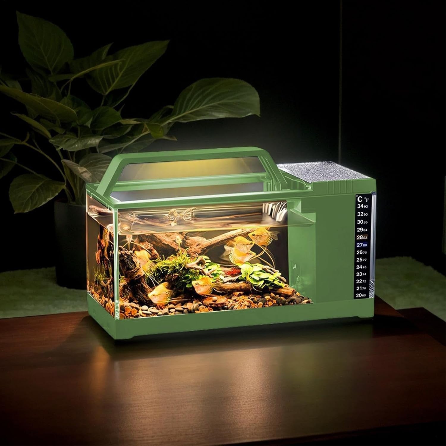 Small LED Fish Tank with Quiet Filtration Pump | Desktop Aquarium Kit