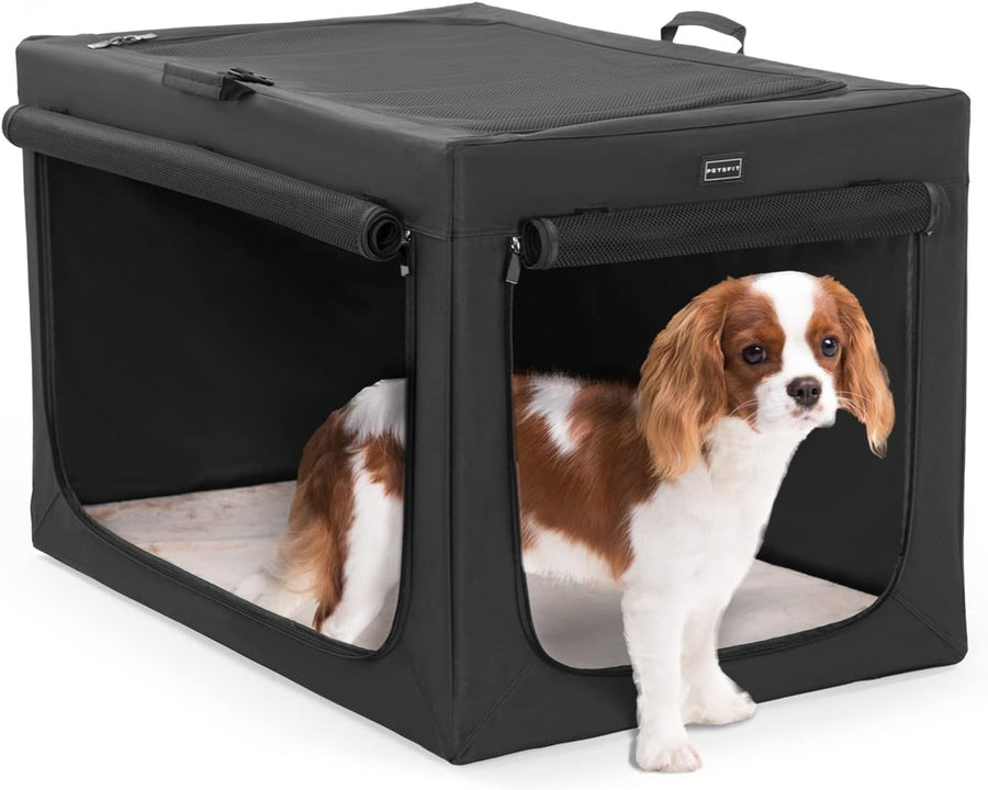 Soft Sided Travel Dog Crate with Thick Mat, Breathable Mesh, Foldable 61x46x43cm
