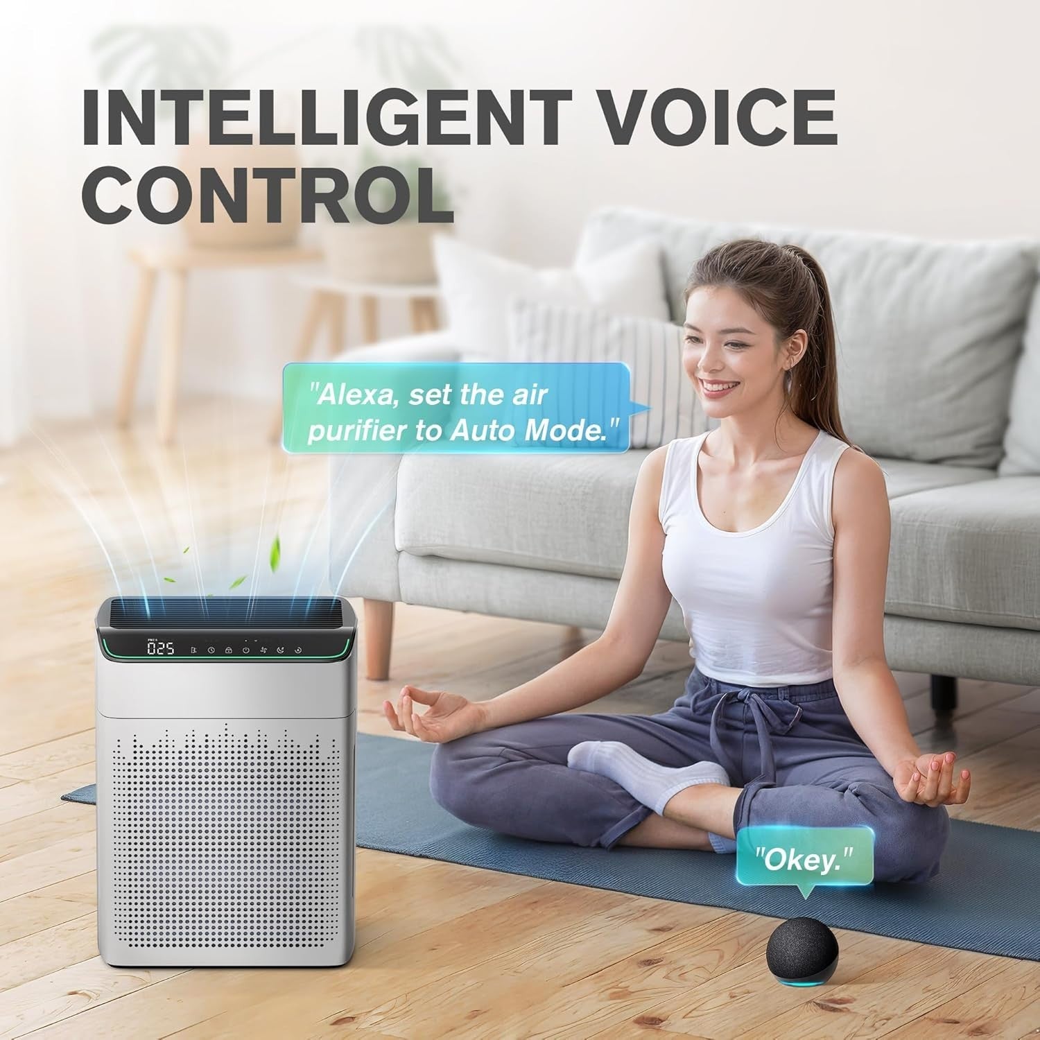 Large Room Smart Air Purifier 1690ft² HEPA WiFi Alexa PM2.5