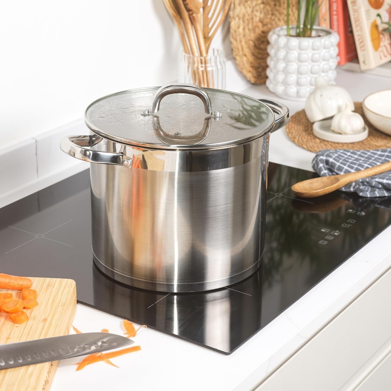 24cm Stainless Steel Stockpot – 9L Large Induction Cooking Pot with Glass Lid