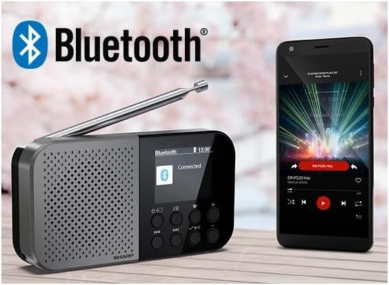 Portable Pocket DAB+/FM Digital Radio Bluetooth 5.3 USB-C Storm Grey