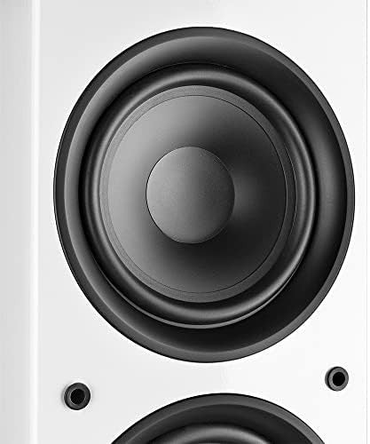 SHF80W Floor Standing HiFi Speakers with AD220A Bluetooth Amp Home Stereo