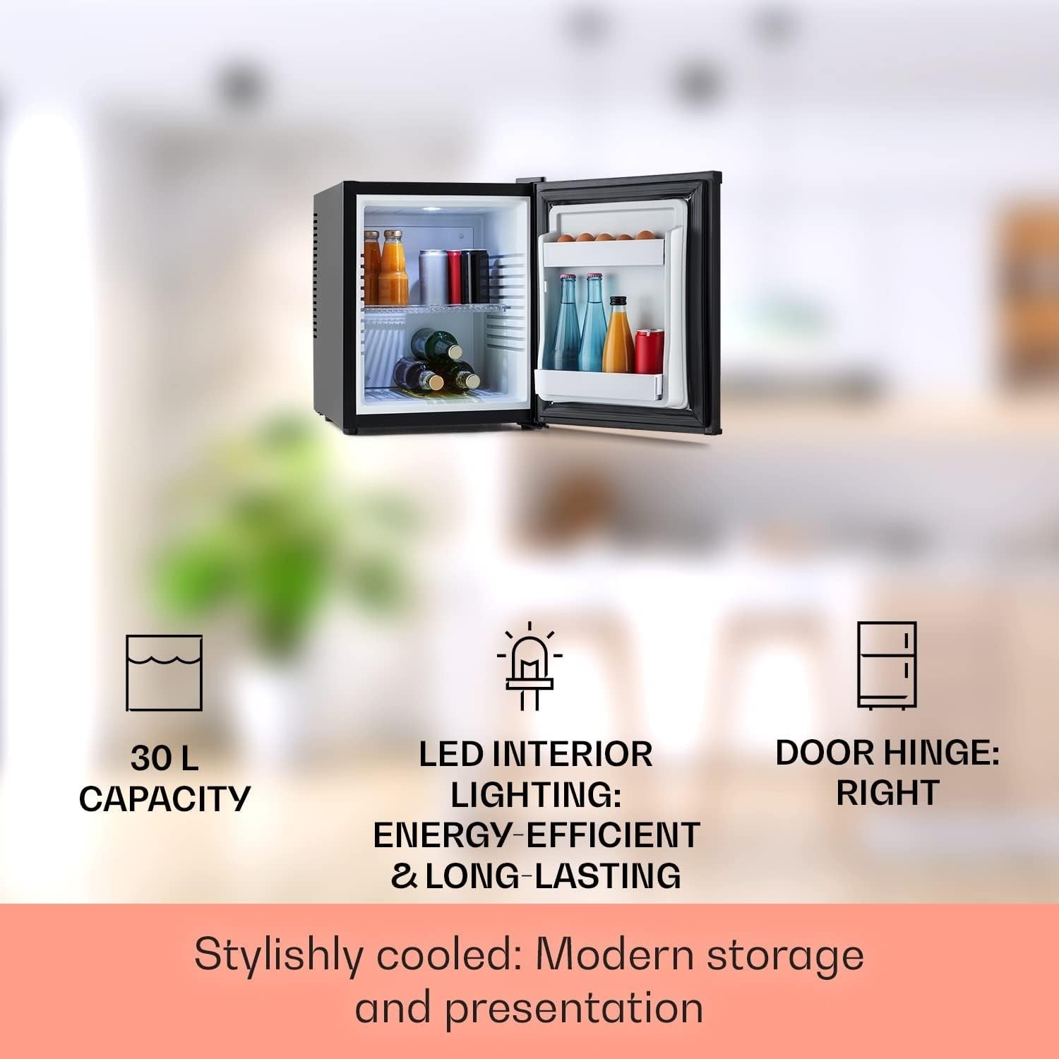 30L Mini Fridge Black Portable Cooler and Drinks Fridge Adjustable Shelves