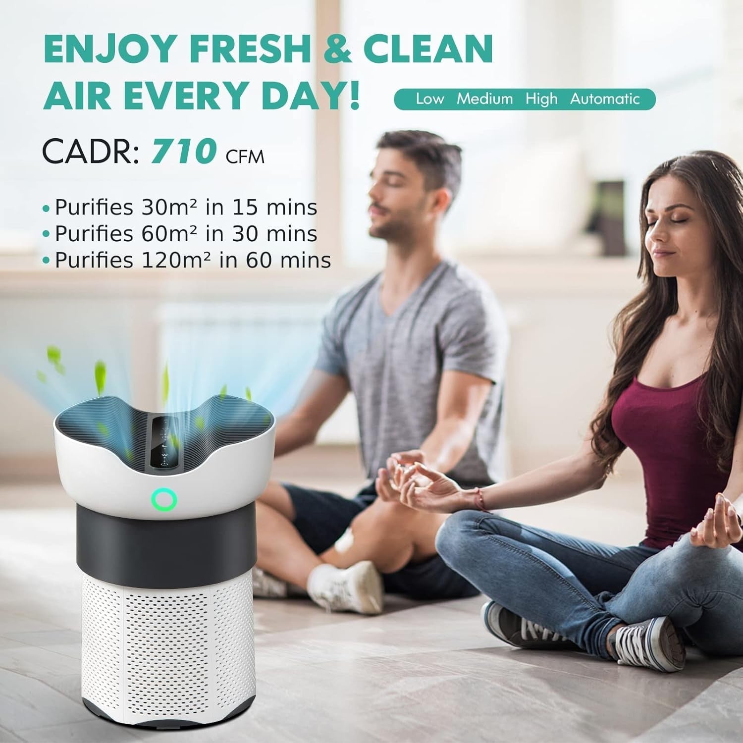 Air Purifier H13 True HEPA Auto Mode Ultra Quiet Large Room