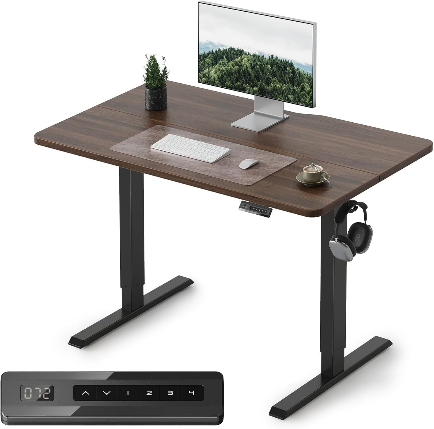 Dark Walnut Electric Standing Desk 100x60cm with Memory Control Panel
