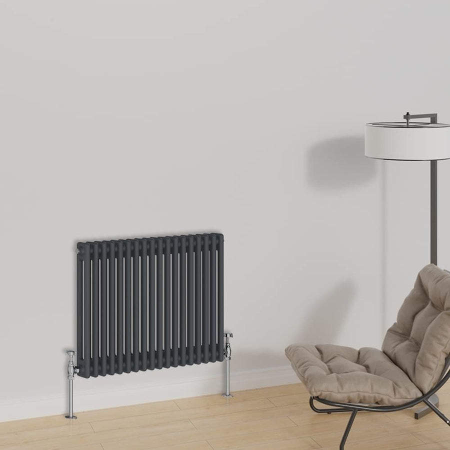 Horizontal Cast Iron Radiator 600x830mm Double Panel Anthracite Heating