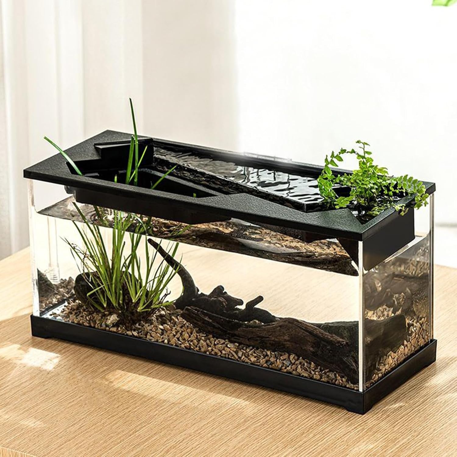 Acrylic Desktop Fish Tank with Filter & LED Light – Small Tabletop Aquarium