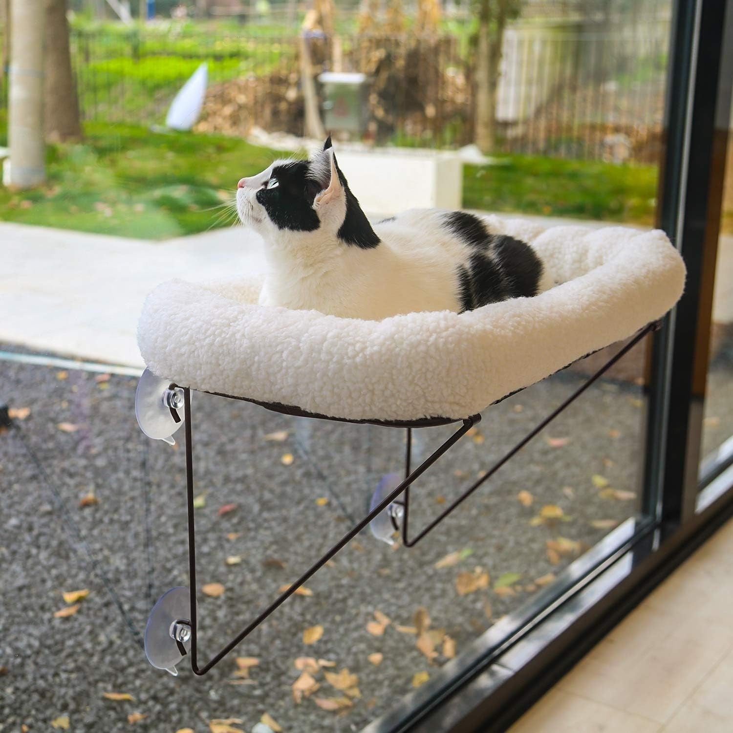 Cat Window Perch Metal Supported Hammock Bed Large Cats Washable
