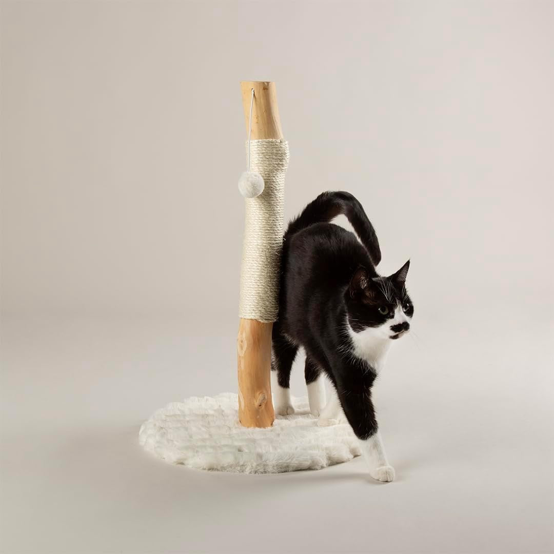 Cat Scratching Post Tree with Natural Wood Sisal Column Plush Base Indoor