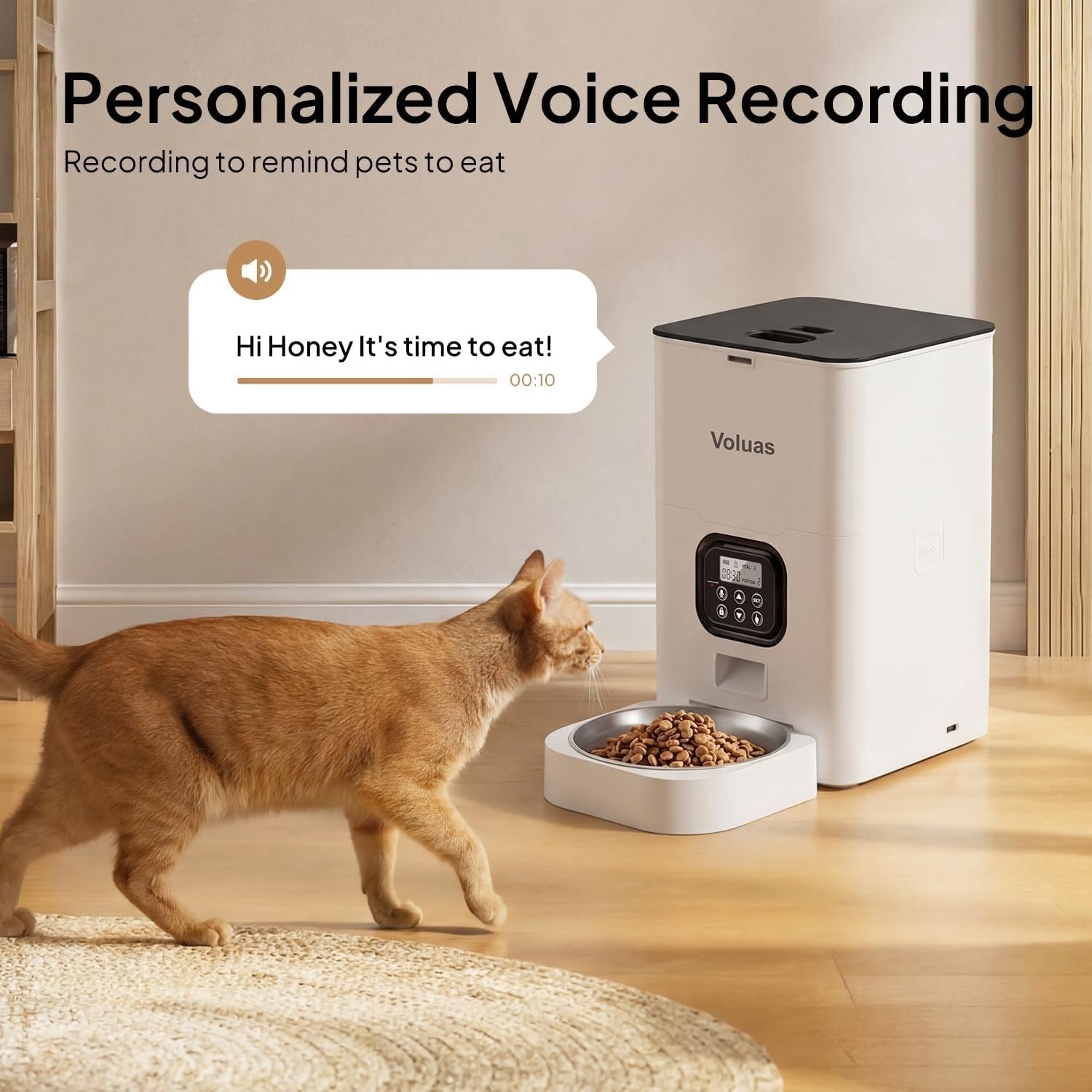 6L Automatic Pet Feeder Timed Food Dispenser Portion Control LCD Timer